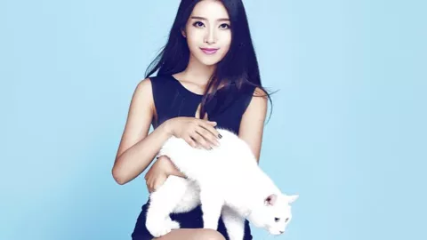 总书记的人民情怀