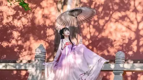 埃及当地法律判罚电诈案