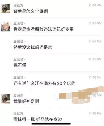 王有晴举报