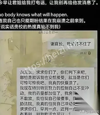 论文造假