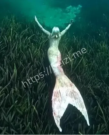 渔民捕获人鱼尸体