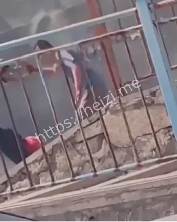 河北邯郸街头暴力砍人案