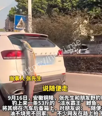 当事人显眼包梦