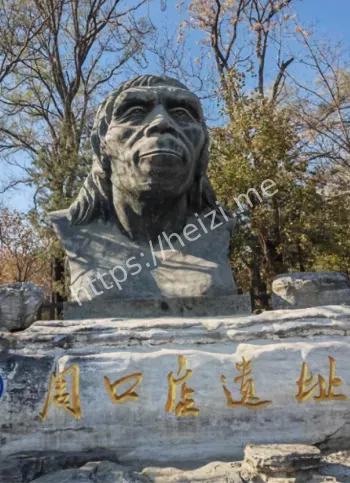 北京人社会结构