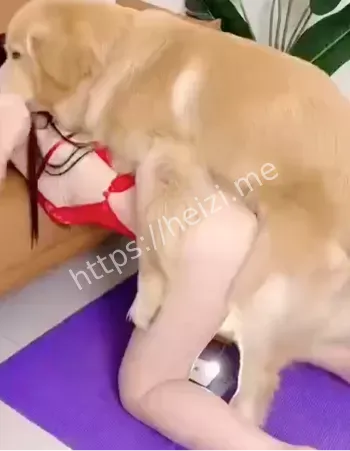 美女狗子互动感人瞬间