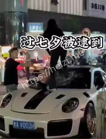 女子砸911事件后续