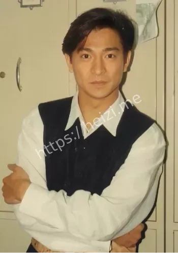 刘德华生日宴港星聚会