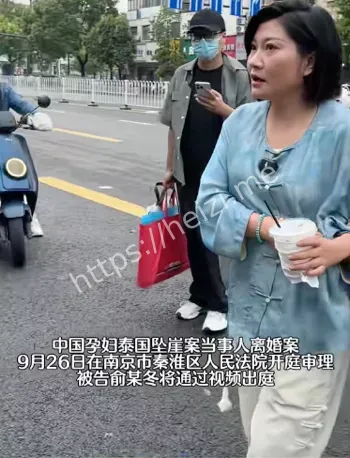 王暖暖离婚案