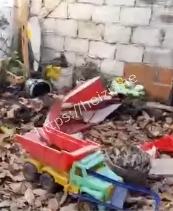 阿根廷直播杀害三女子