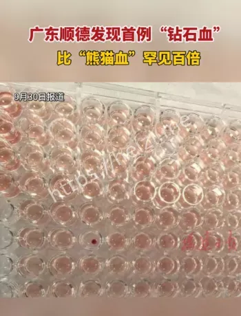 顺德钻石血事件深度解读