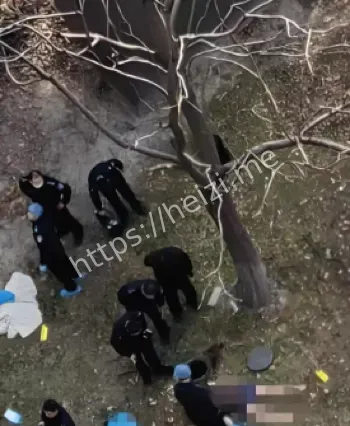 上海47路司机事件