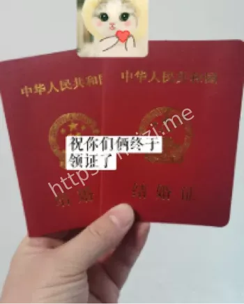 东兴高管家庭事业崩盘启示