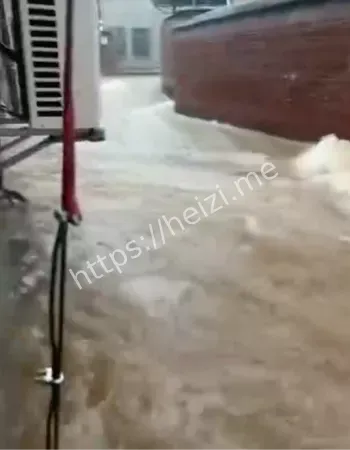 沿海经济损失八卦爆料