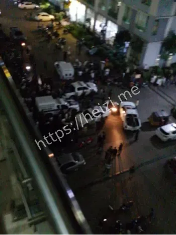 电诈园区职场文化冲突警示分析