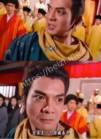 少林寺资产侵占挪用资金