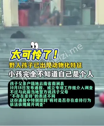 自然教育与社会规则矫正