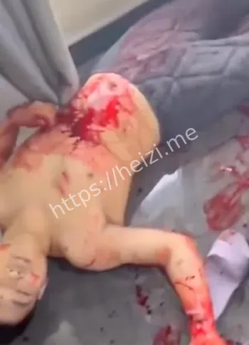 快手南的兴捅人案死亡细节