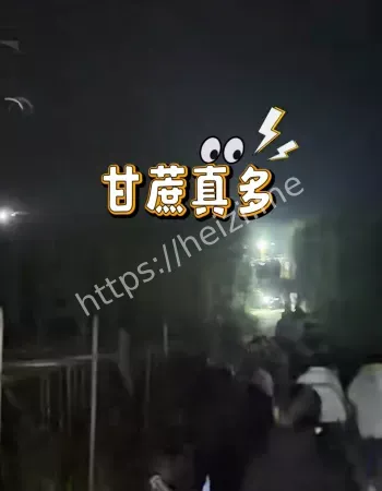 农村创业日入两万