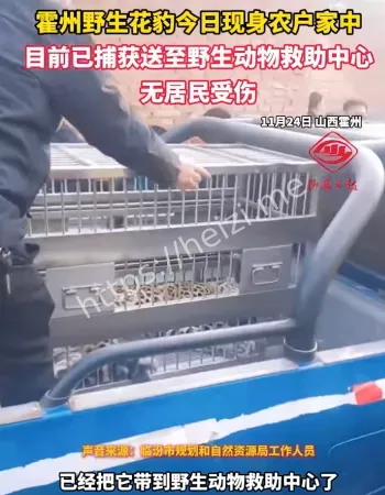 陶唐峪乡南李庄