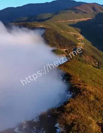 准禁止锋照进现实