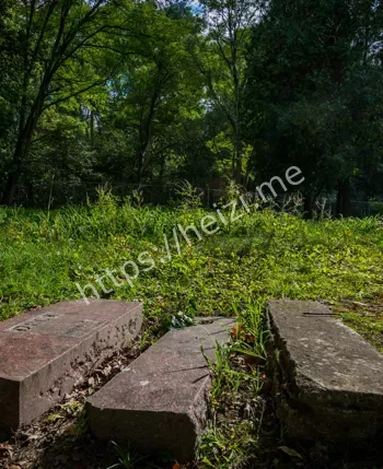 幽灵夫人惊魂夜