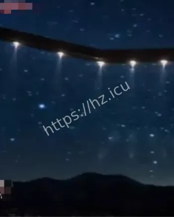 凤凰城之光政府掩盖阴谋