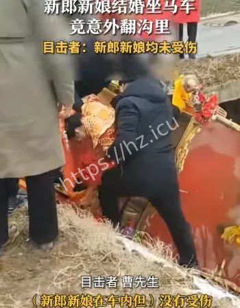 网友这才是真正的坠入爱河